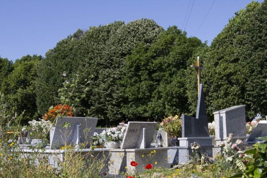 cemitério, abandono, ervas daninhas, revolta, populares