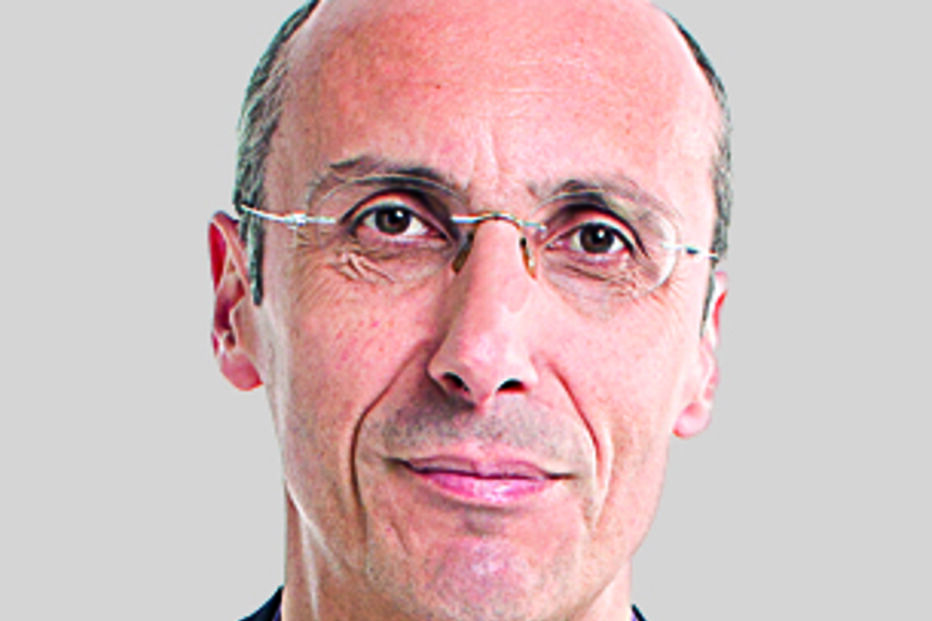 PARTIDO PELOS  ANIMAIS E PELA NATUREZA, ELEIÇÕES, PARTIDO