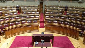 Resistência a Fernando Nobre no Parlamento 