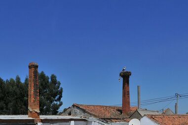 VIOLÊNCIA, ODEMIRA, BRUXO, HOMICÍDIO