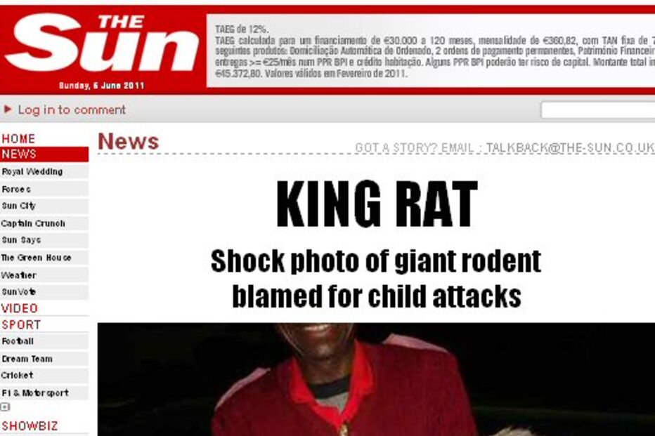 roedor, ratazana, monstro, mortos, crianças, áfrica do sul