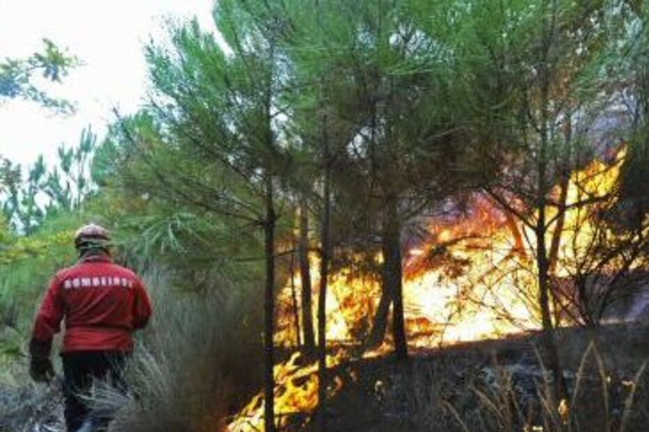 Incêndios, Bombeiros, Vila Real,   Sabrosa, Fetais