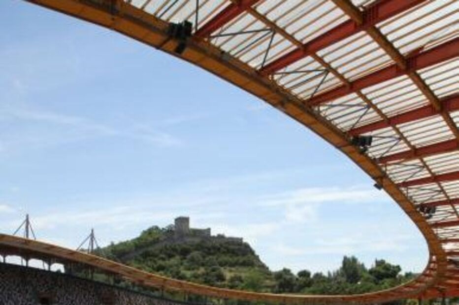 Leirisport, António Martinho, União de Leiria, Estádio de Leiria