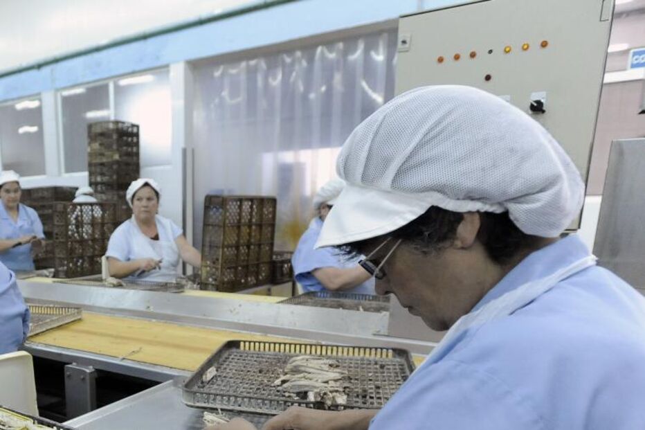CONSERVAS, INDÚSTRIA, PEIXEM, EXPORTAÇÃO