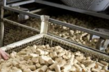 corticeira amorim, economia, lucros, isolamentos, cortiça, amorim