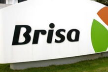 Brisa,EBITDA,lucro, Vasco de Mello