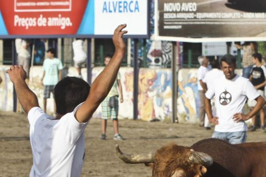 VILA FRANCA DE XIRA, TOURO, FESTA, COLETE ENCARNADO