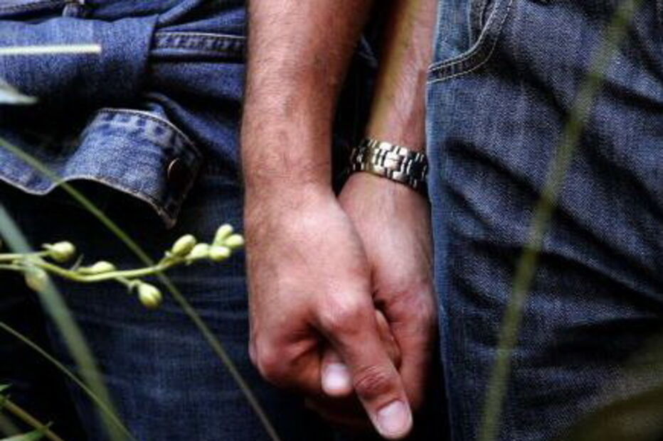 Casal, gay, homossexual, homossexuais