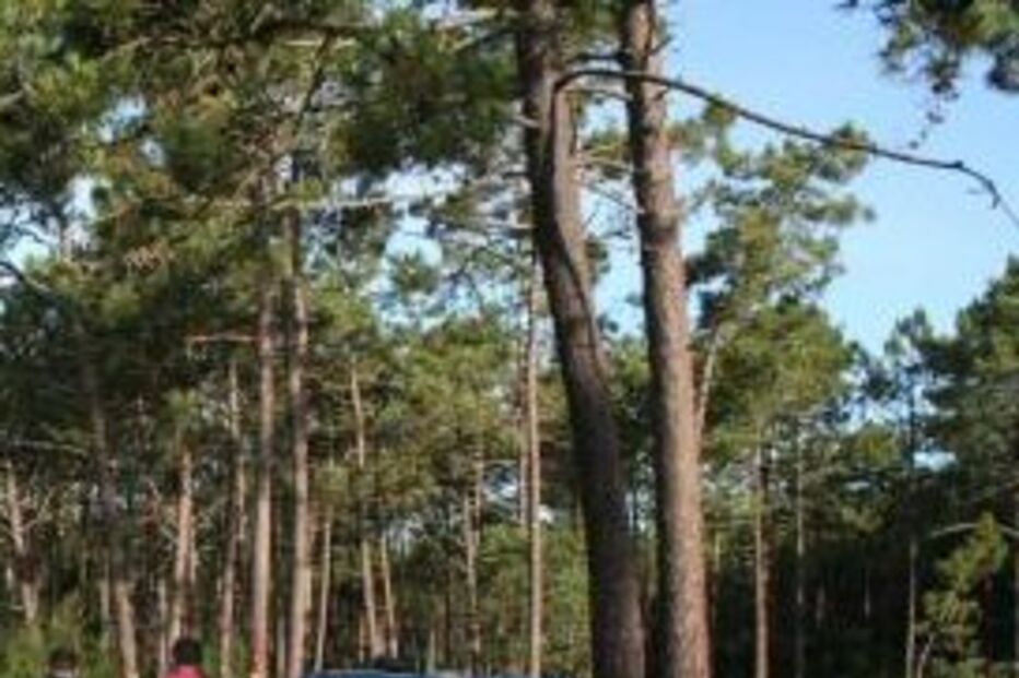 GNR, segurança, acidentes, férias seguras, Portugal, sinistralidade