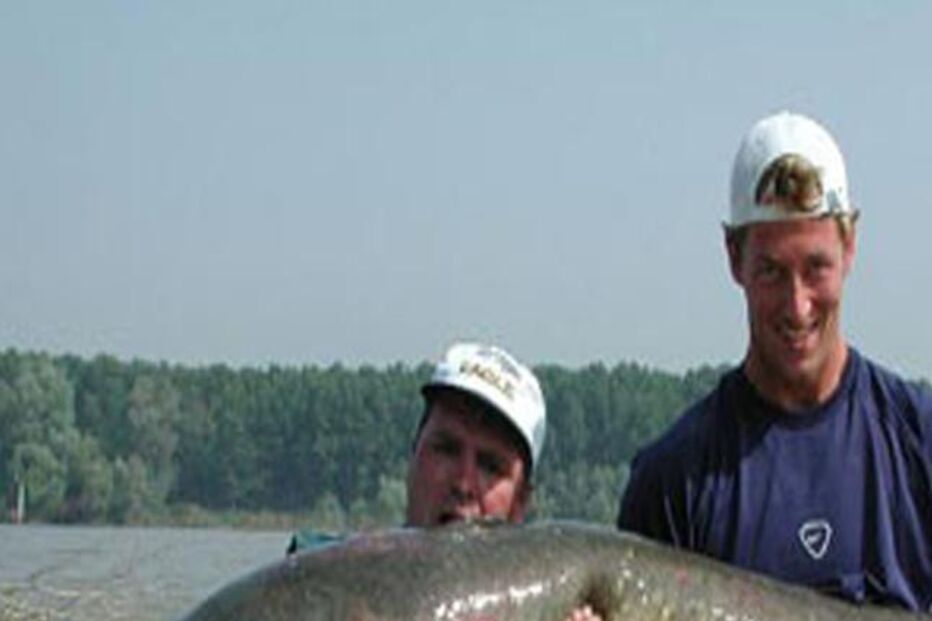 sertã, peixe-gato, crocodilo, zêzere