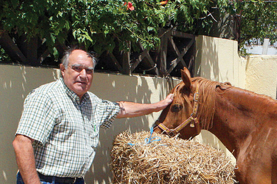 VIOLADOR DA NET, CAVALO, EX-NAMORADA, LOURES