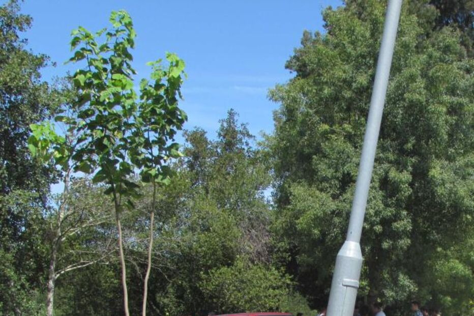 AFOGADOS, V.N. CERVEIRA, ACIDENTE