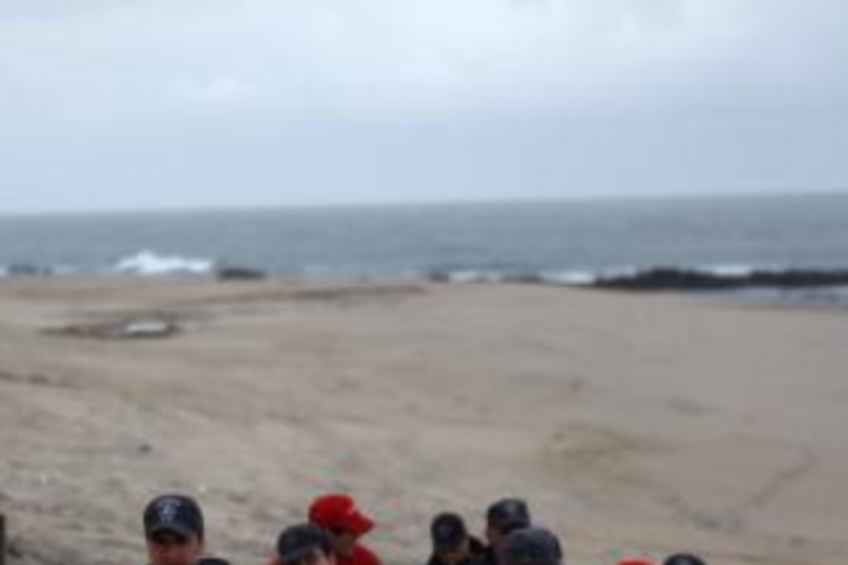 corpo, boiar, cadáver, praia, gaia, porto, canide sul