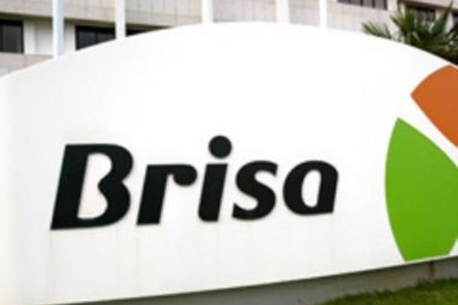Brisa,EBITDA,lucro, Vasco de Mello