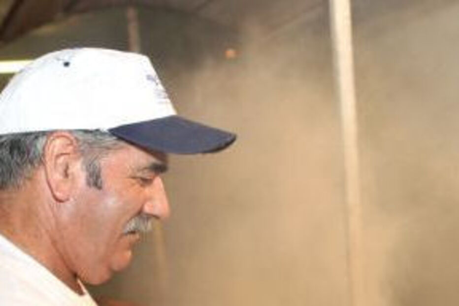 ALBUFEIRA, FRANGO, FESTA