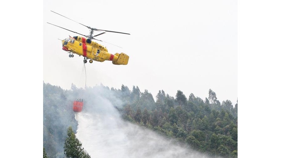 Bombeiros desconfiam de fogo posto no Parque Natural da Arrábida