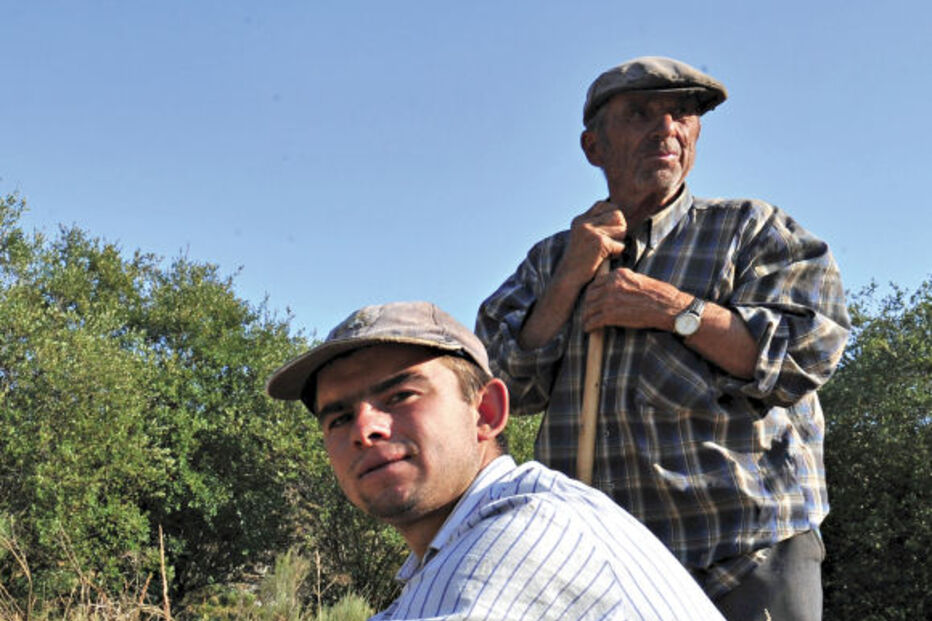 Os pastores que viram partir Rosa Brava 