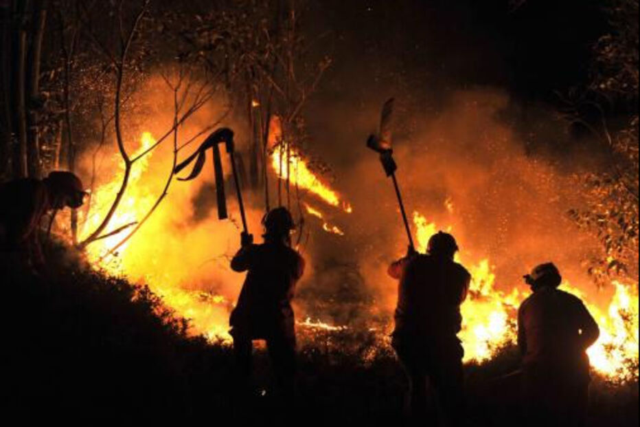 incêndios, fogos, projeto 