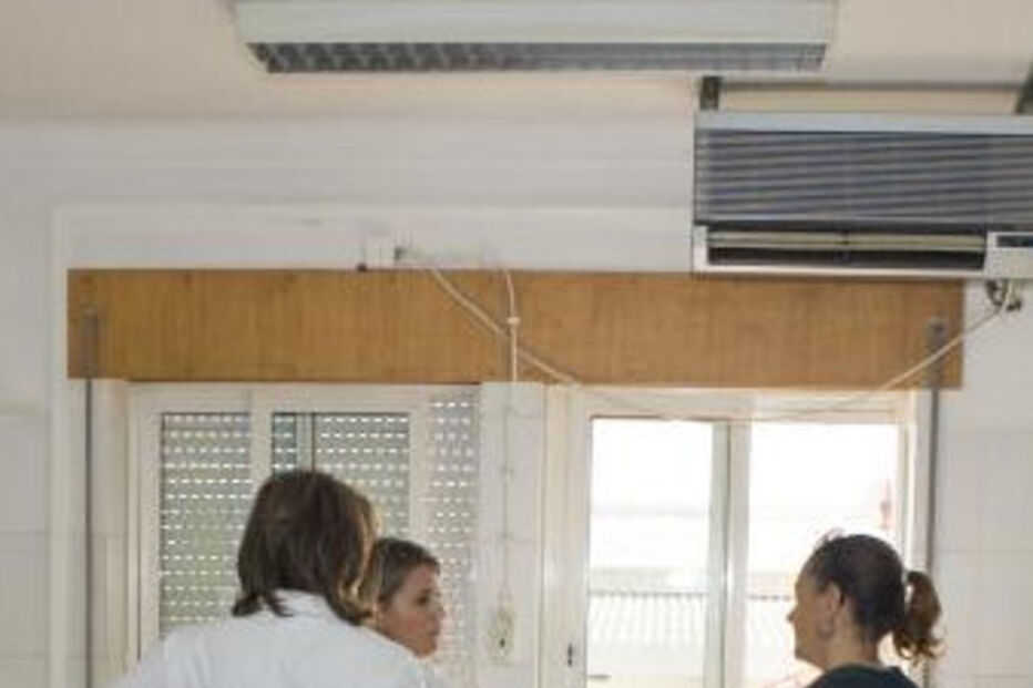 Saúde, Relatório, Ministério da Saúde, Lisboa e Vale do Tejo, Algarve, Alentejo, Centro, Norte, Unidades de Saúde Familiar, Cuidados de Saúde Primários, Ana Jorge