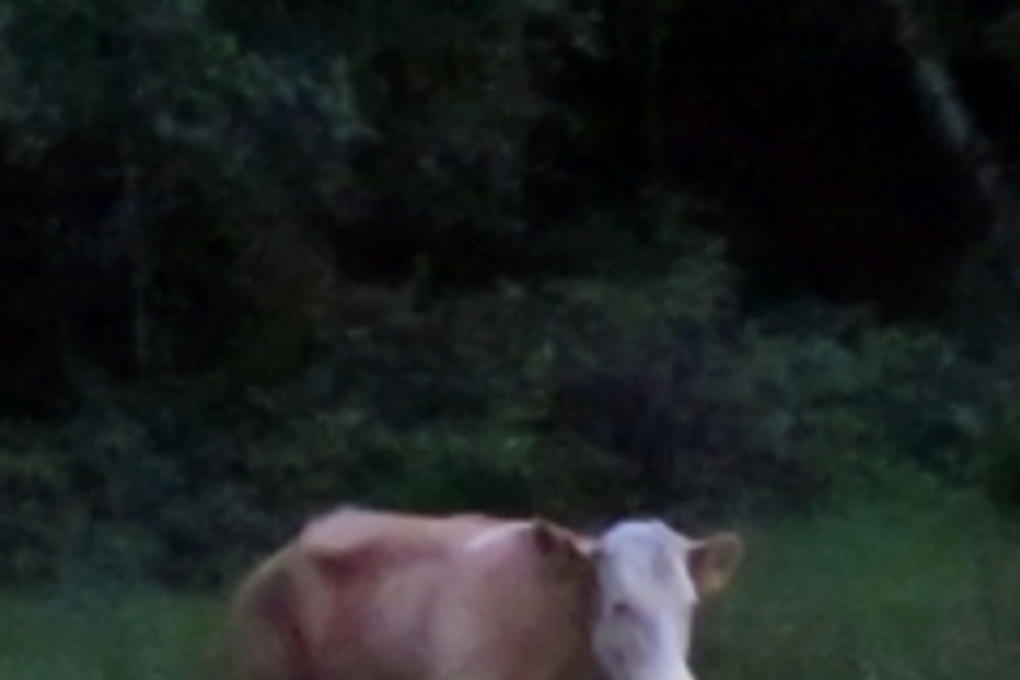 Mühldorf, Alemanha, 