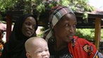 Pelo menos 114 albinos desapareceram em Moçambique desde 2014