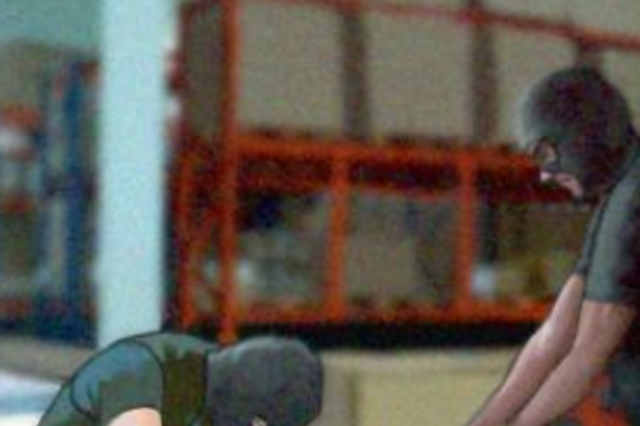 gang, polícia, são paulo, brasil, assalto, violência, choques eléctricos