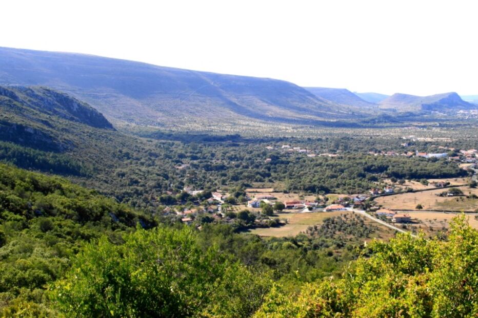  Parque Natural da Serra de Aire e Candeeiros, Fundação Floresta Unida, David Lopes, Porto de Mós, voluntários, floresta