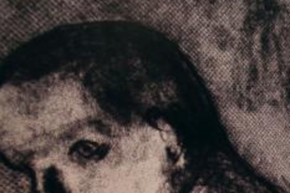 EUA, Daniel Hamermesh, novo racismo