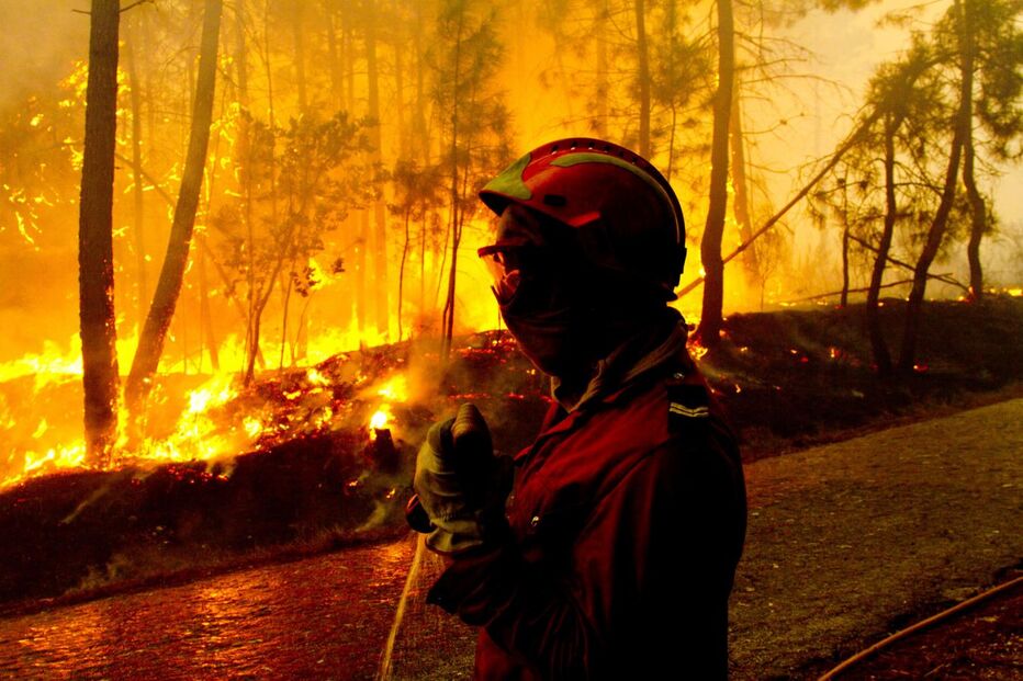 Um incêndio foi ontem combatido por populares e bombeiros nos concelhos de Vila Real e Sabrosa. Esteve muito perto de habitações. (Pedro Rosário/Lusa)