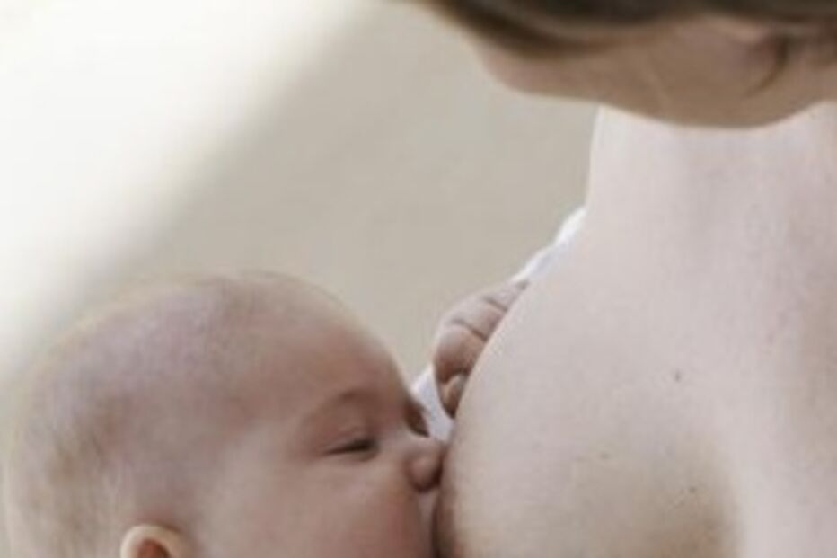 bactéria 'helicobacter pylori', prémio Dr.ª Maria Odette Ferreira-Santos, Nuno Lunet, cancro no estômago, leite materno, crianças