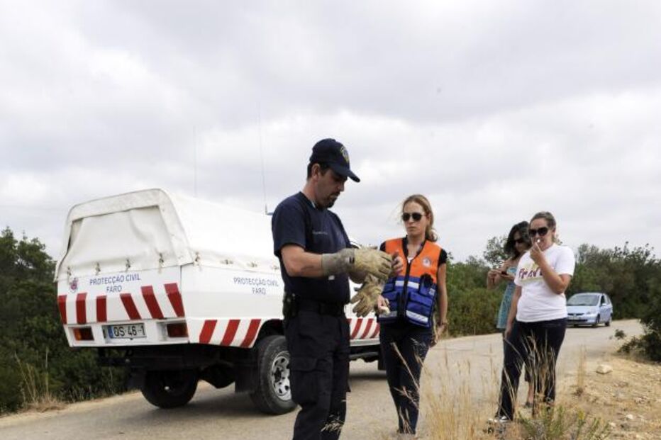 CÃO, ROTTWEILLER, FARO, QUEIMADO, VANDALISMO