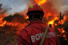 fogo, incêndio, chamas, castanheira de pêra, leiria