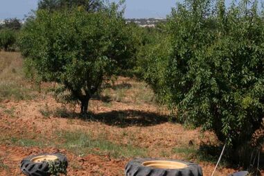 CASTELO DE PAIVA, TOMAR, MORTE, ÓBITO, ACIDENTE, TRACTOR