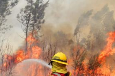 incêndio, fogo, Ladreda, São Pedro do Sul, viseu, mafra, bombeiros, Cezaredas, Óbidos