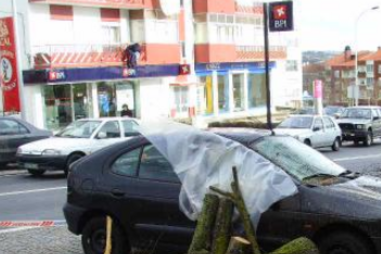 cdos, mau tempo, cheias, protecção civil, guarda, acidentes, árvores