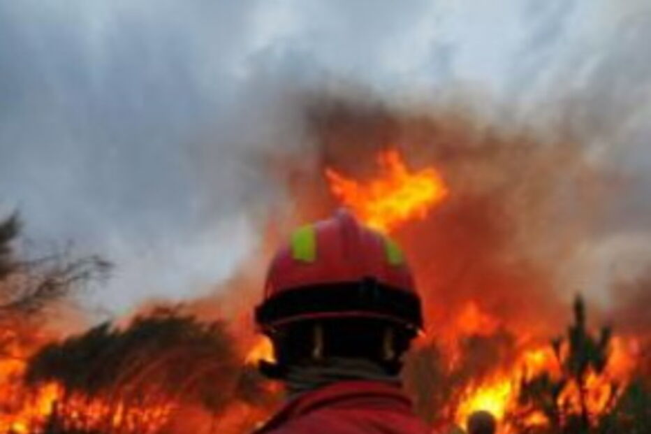 fogo, incêndio, chamas, castanheira de pêra, leiria