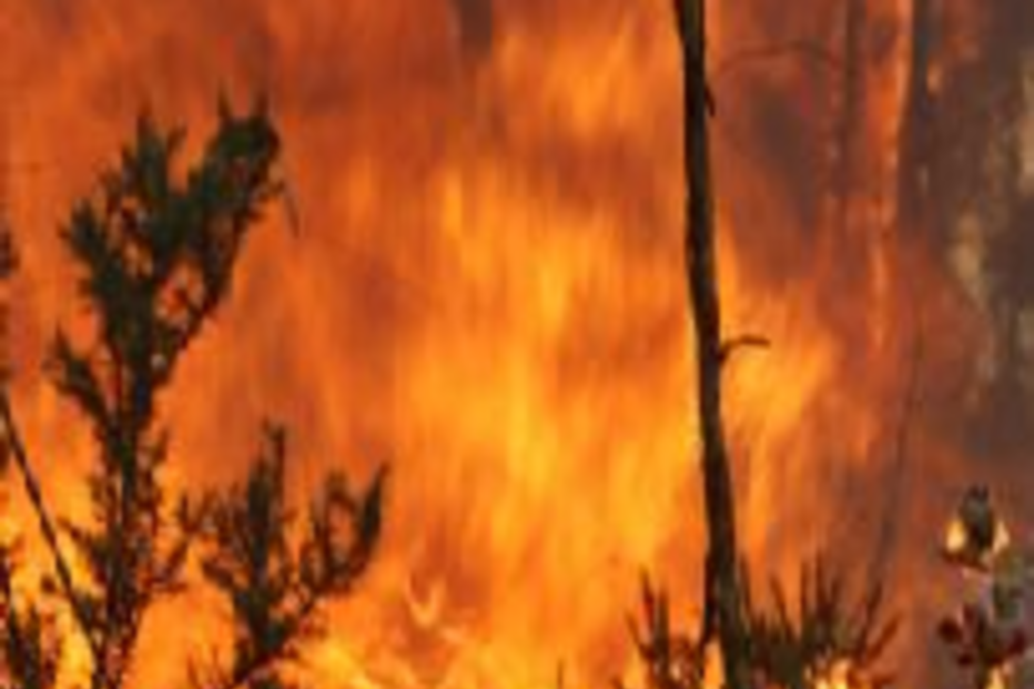 Incêndio, Castanheira de Pêra, bombeiros, Protecção Civil