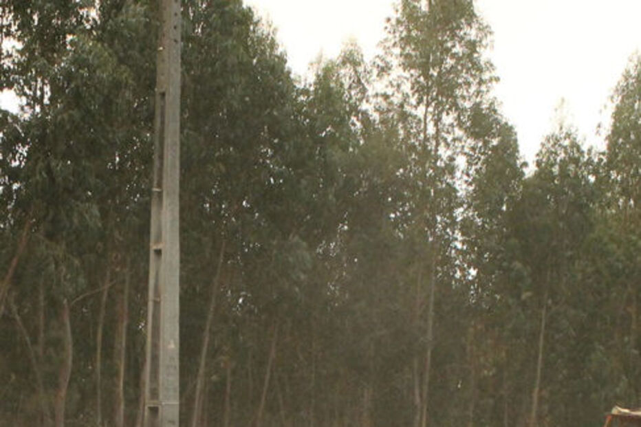 INCÊNDIO, FOGO, VALE DE CAMBRA, OLIVEIRA DE AZEMÉIS