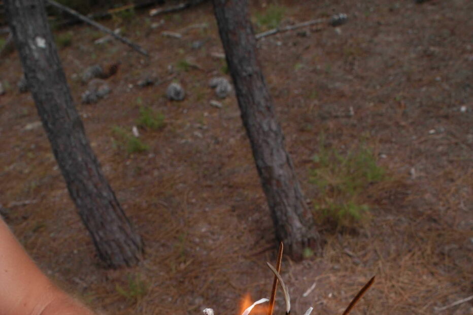 Preso por atear fogos