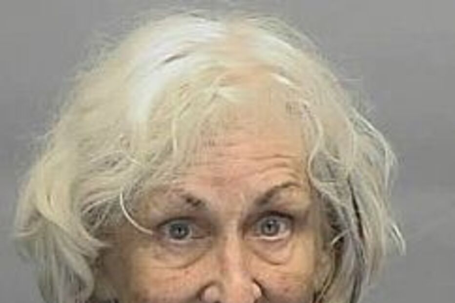 sexo, idosa, carro, michigan, atentado ao pudor, pena suspensa, EUA