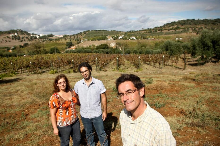 A terra a quem a trabalha