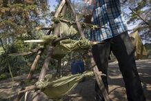 Tropas Especiais (I): Boinas verdes 