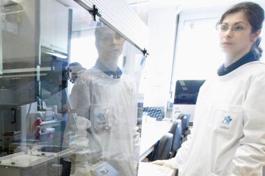 APLASIA MEDULAR, SAÚDE, DADOR, TRANSPLANTE