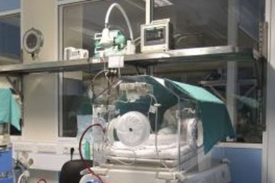 obstetra, coimbra, negligência, maternidade daniel de matos