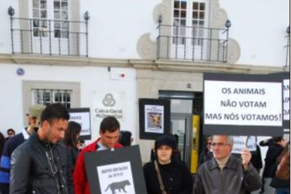 Canil, Veterinário, Suspensão, Abate, Câmara, Évora, Autarquia