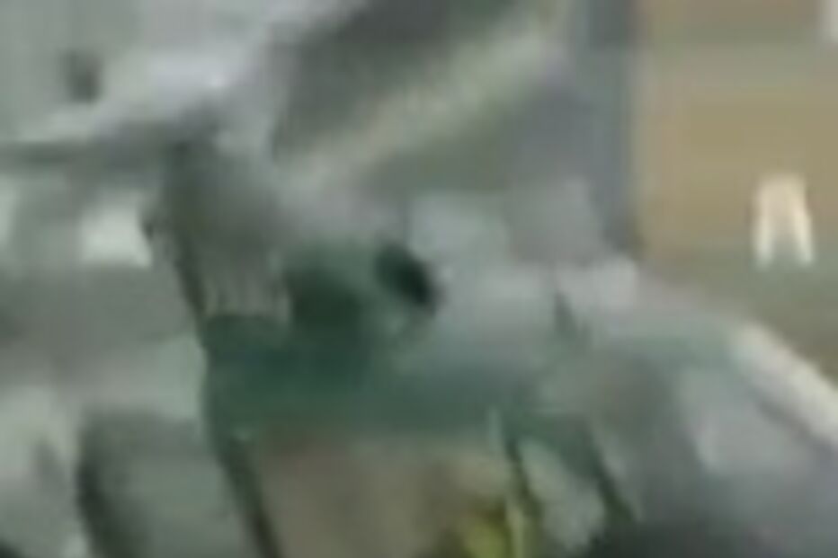 Nova Zelândia, Helicóptero, Auckland, Piloto