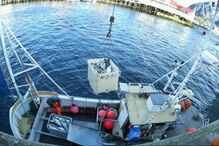 pescas, 6%, bacalhau, Assunção Cristas