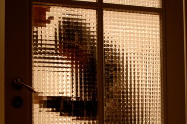 ROUBO, ASSALTO, GUARDA, CELORICO DA BEIRA