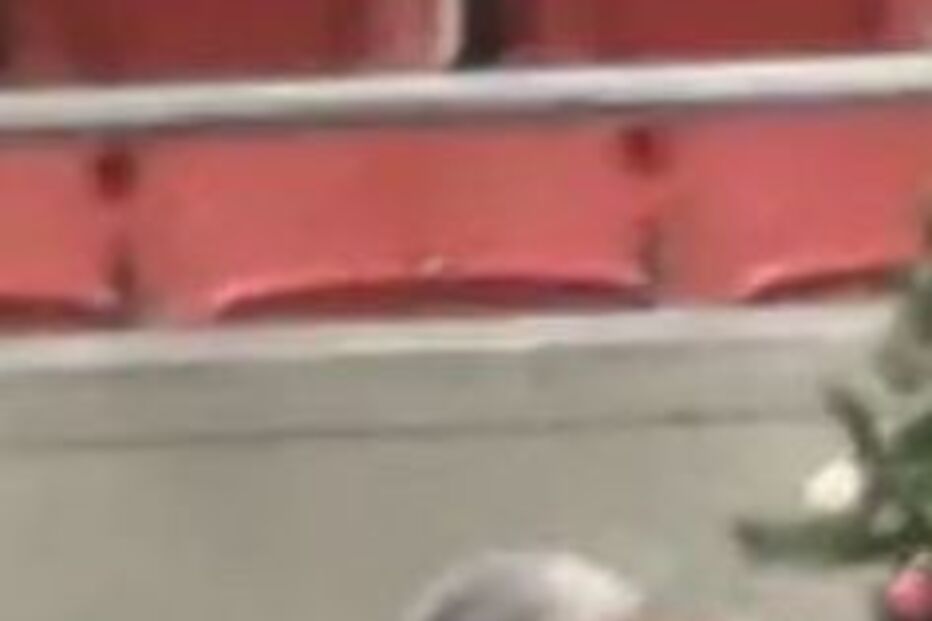 luís filipe vieira, benfica, águia, vitória, ataque. águia vitória