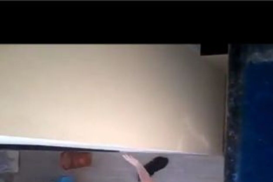 cão, enfermeira, agressões, violência, justiça, brasil